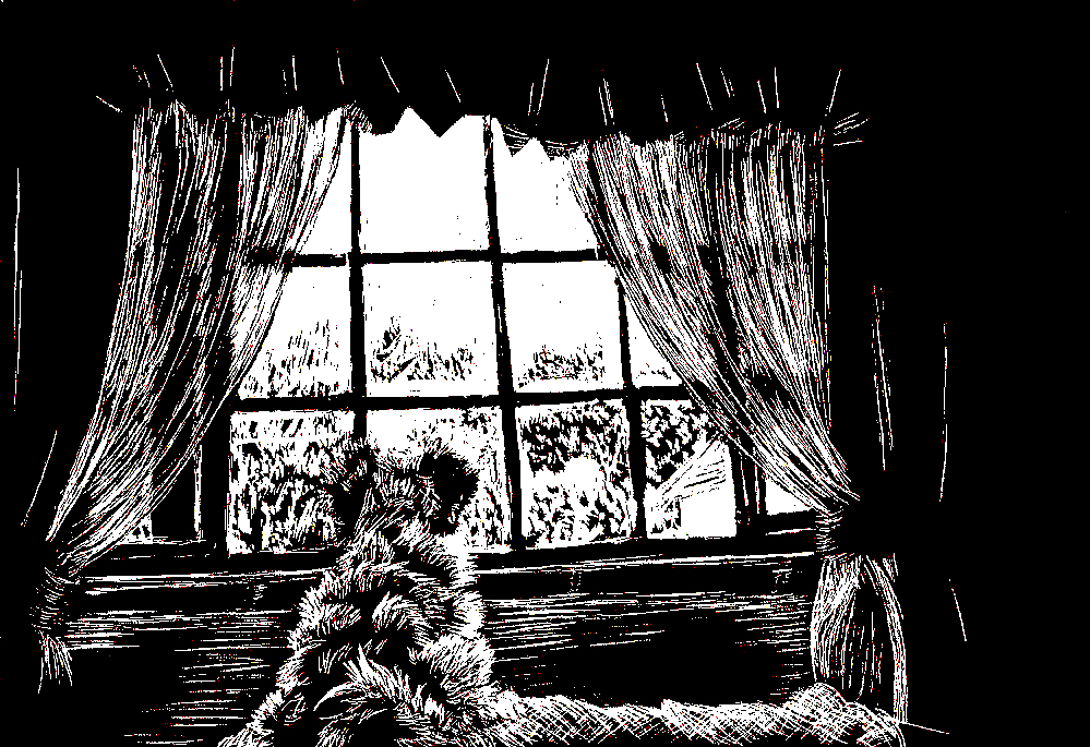scratchboard Cinnamon Window portrait