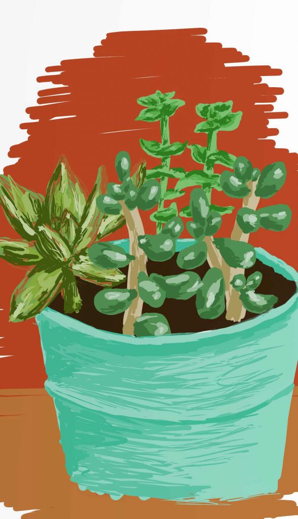 obsessed with succulents art bucket arrangement