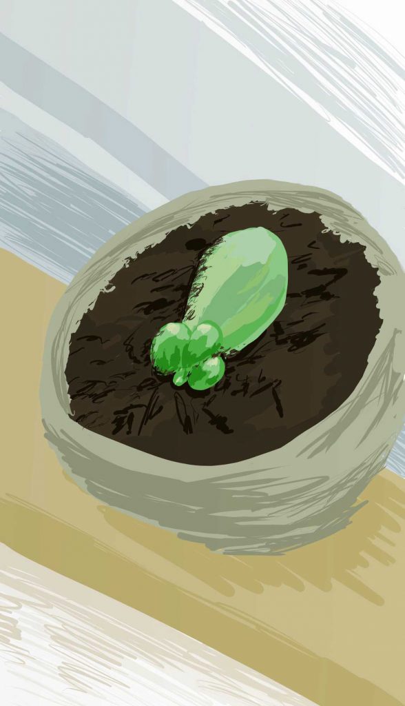 obsessed with succulents art hernandezii pup