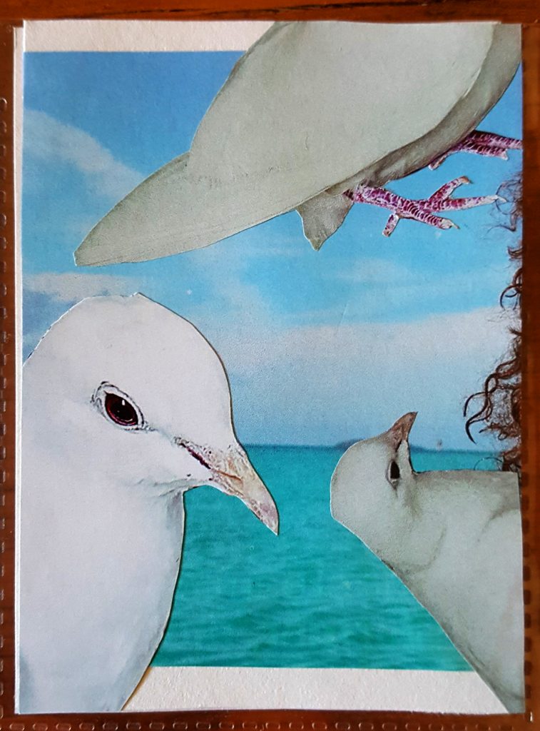 doves make artist trading cards