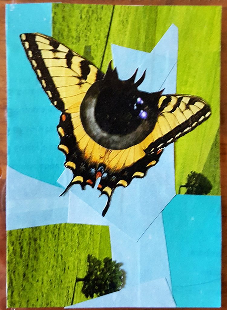 pupil butterfly make artist trading cards