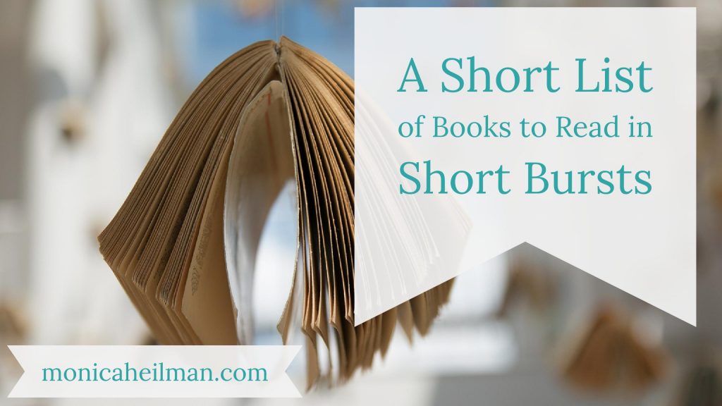 Short Burst Books Title Image with book hanging on a string