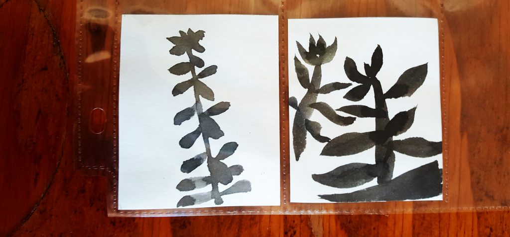 sumi-e beginner failed succulents