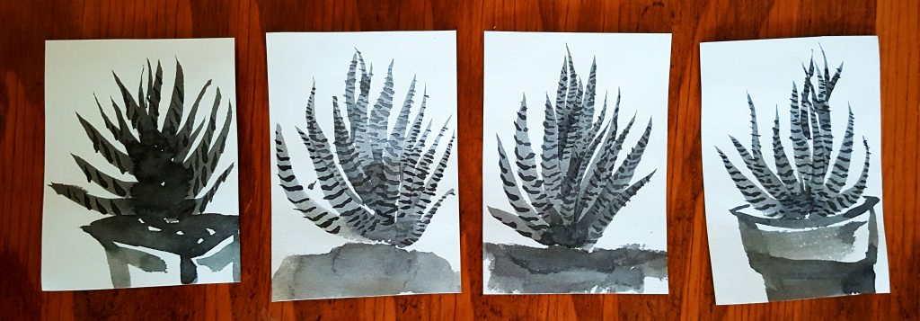 sumi-e beginner zebra succulents