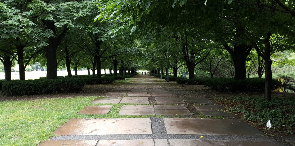 wide stone path leading into shady forested area, two small figures can be seen in the distance.